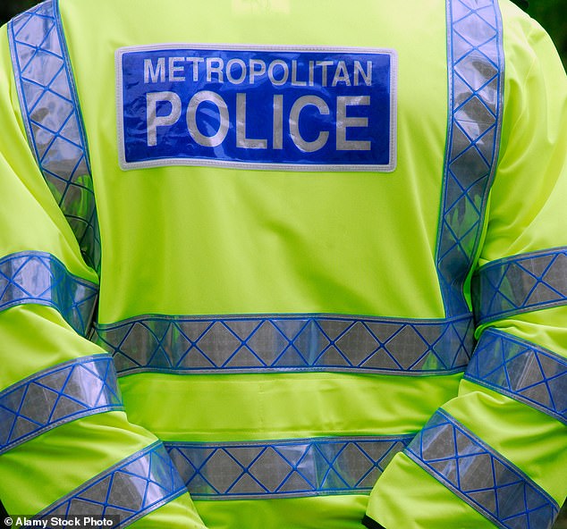 Criminal incidents reported in the parks increased by around a third from 76 in the year 2022/23 to 101 in 2023/24, according to the Royal Parks' latest annual report