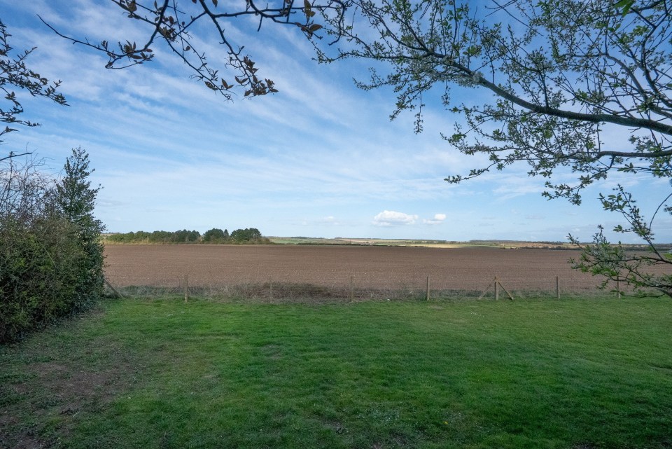 View of a plowed field from a grassy area, framed by tree branches.