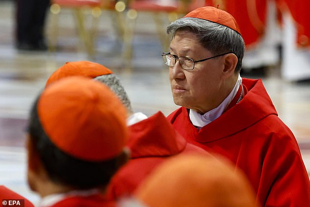 Doyle then went on to discuss the group's findings on Tagle, the former Archbishop of Manila. She accused him of doing nothing to pull the church in the Philippines out of the 'dark ages' of abuse and noted that guidelines dealing with sexual abuse cases have not been published on the webpages of the Manila archdiocese nor the bishops'. Pictured: Cardinal Luis Antonio Tagle attends the Fifth Novemdiale Mass
