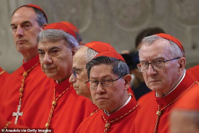 Doyle said Parolin and Tagle were only two cardinals among many who had not done enough to stop abuse. When asked if any contenders met her approval, she said only bishops in the United States were 'accustomed' to name abusers and banish them from the church