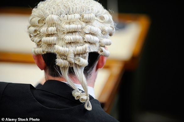 Checks on guarantors during immigration bail hearings often take just a few minutes and involve a few basic questions (Pictured: Stock Image of a Judge)