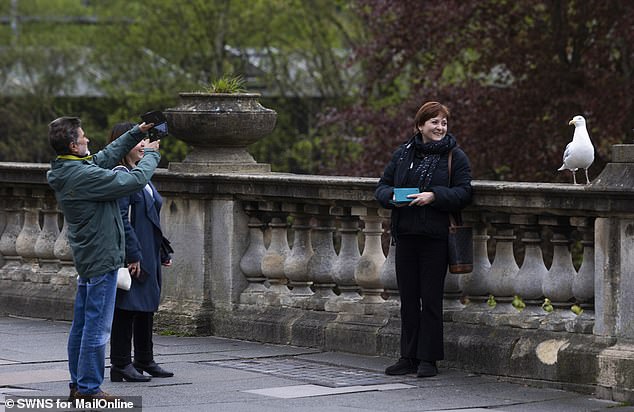 A tourist takes a photograph with a seagull on her visit to Bath, standing beside the River Avon