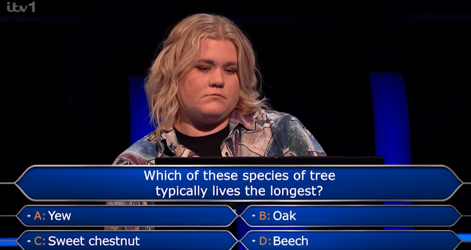 Contestant on game show considering which tree species lives longest.
