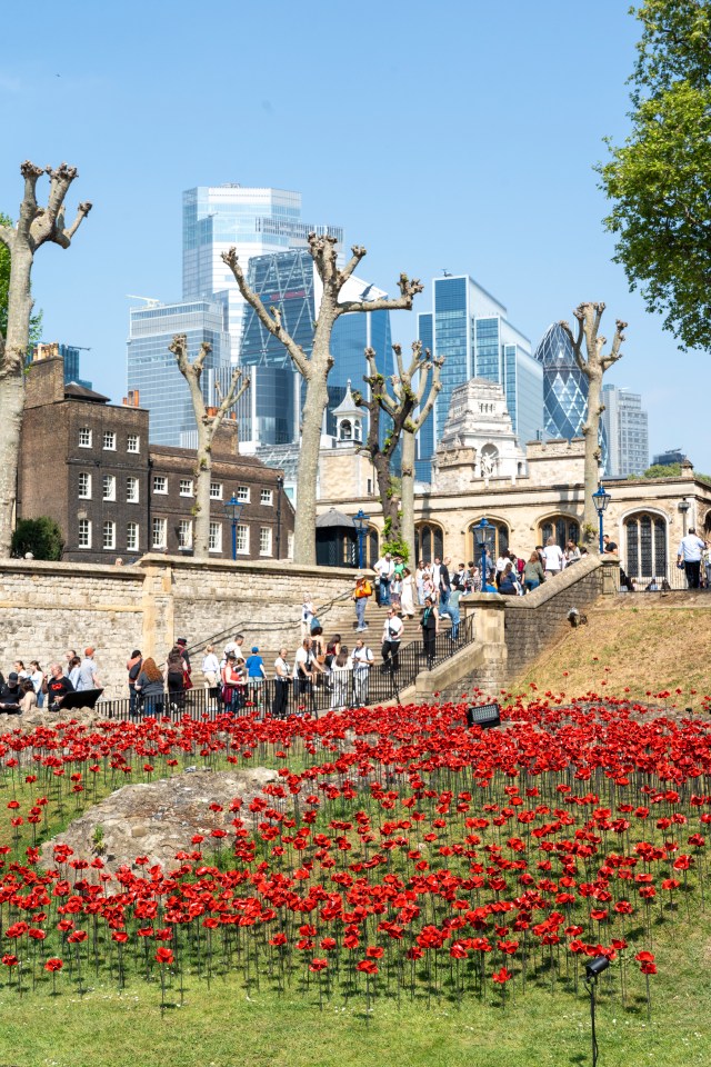 Poppy installation at the Tower of London with modern buildings in the background.