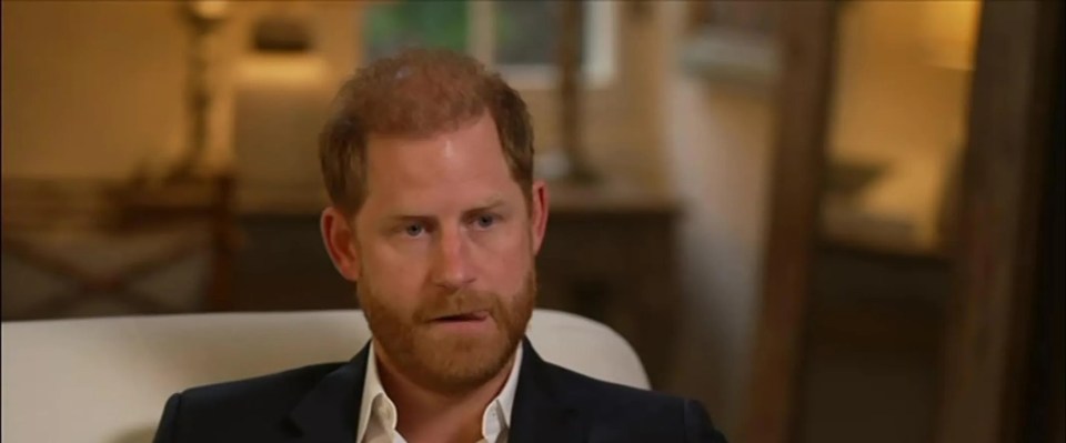 Prince Harry in an interview with BBC News.