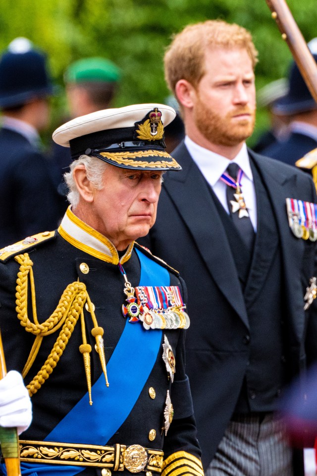 King Charles III and Prince Harry.