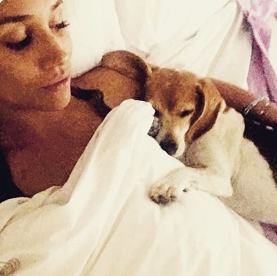 Meghan stares lovingly at her adopted pup Guy, in a photo on Instagram in 2016