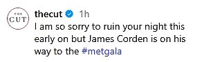 'I am so sorry to ruin your night this early on but James Corden is on his way to the #metgala,' The Cut wrote