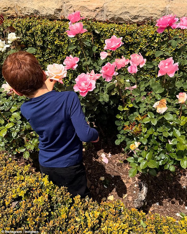 The adorable images showed Archie's dark copper hair, which is almost exactly the same shade as Prince Harry's