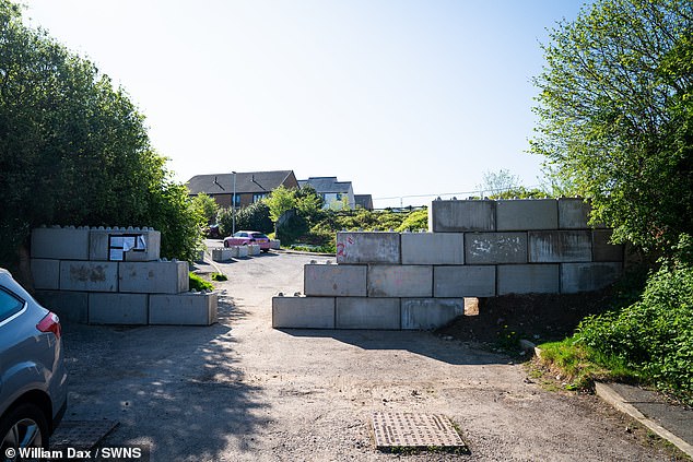 Developers criticised Google saying the website showing the road as a right of way could 'invalidate our insurance'
