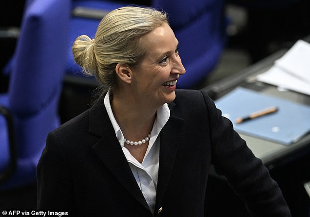 Alice Weidel, the co-leader of the AfD, who came second in February's election, was seen smiling in response to the surprising result of the first vote