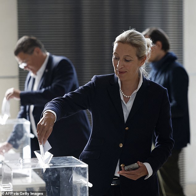 AfD figures claimed that even if Merz were to survive and he was sworn in, his reputation would be in tatters