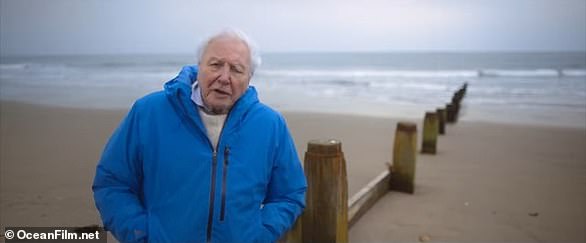 Attenborough declares in his documentary that our understanding of the sub-oceanic world has been transformed in his lifetime