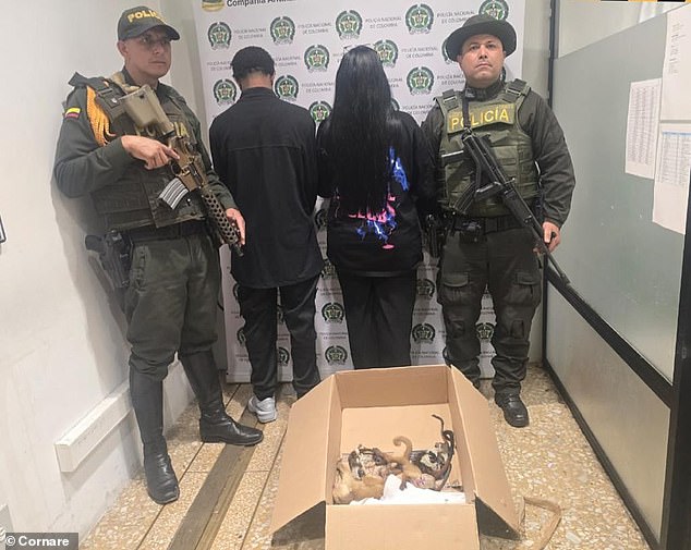 The discovery was made at the Jose Maria Cordova Airport in Rionegro on Saturday