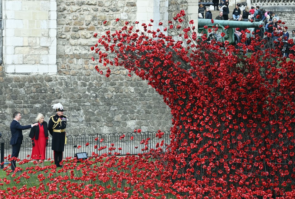 Ceramic poppies displayed at the Tower of London, commemorating the end of World War II.