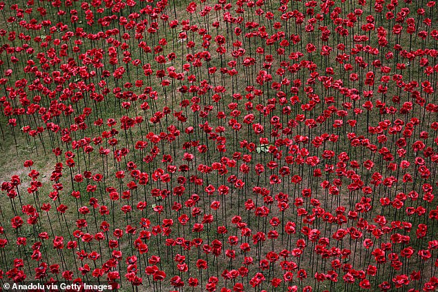 Queen Camilla views the display of ceramic poppies for the 80th anniversary of the end of the Second World War, at the Tower of London