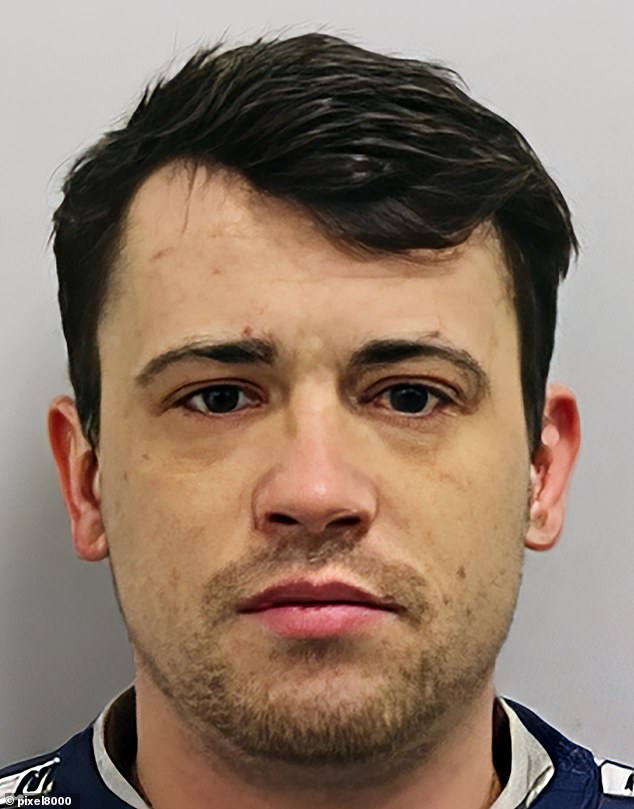 Jordan McSweeney refused to come to the dock to hear his fate for murdering 35-year-old law graduate Zara Aleena as she walked home in Ilford, east London, in June 2022
