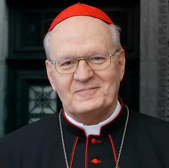 Portrait of Cardinal Peter Erdő.