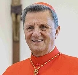 Portrait of Cardinal Mario Grech.