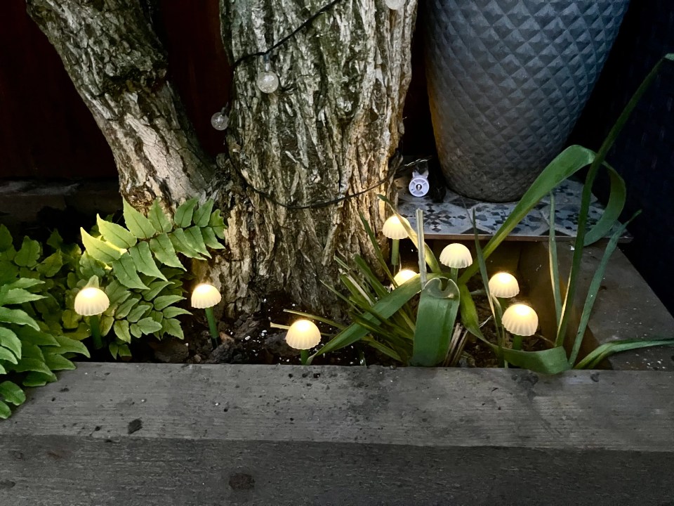 Solar-powered mushroom string lights in a garden planter.