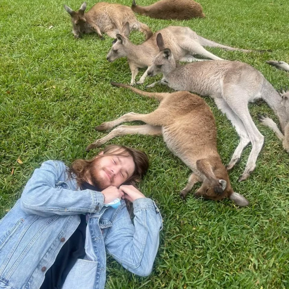 Man lying on grass surrounded by kangaroos.