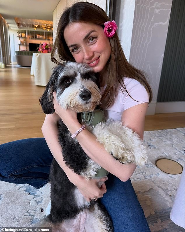 Ana de Armas has accidentally dropped a big clue that she is dating Cruise. The cute hint could be seen in her latest Instagram post where she was wishing her dog Salsita a happy 5th birthday. Ana was sitting on a rug with her pooch in a living room with a kitchen behind her. She appeared to be at her sprawling $7M Vermont home