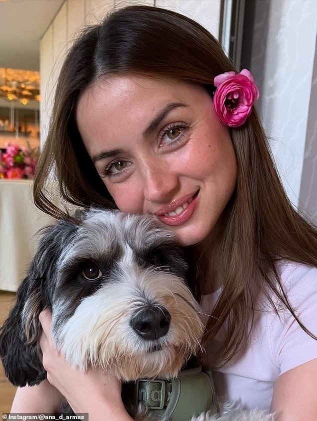 And de Armas even had one of the pink flowers tucked behind her ear as she smiled for the camera in perhaps a wink to her new companion