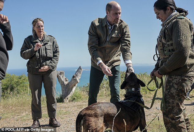Pictured: Prince William meeting Lia the canine ranger who works on Signal Hill in Cape Town, in November