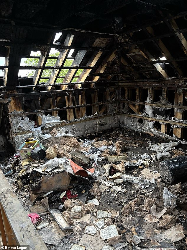 Emma Logan, 35, told MailOnline how she 'sat in the garden and just watched [her] house burn' after the device - that wasn't turned on and hadn't been used for a year - burst into flames