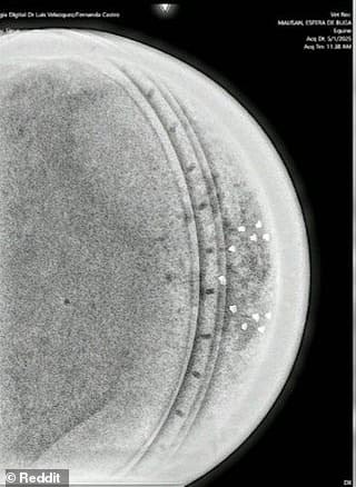 The team identified three layers within the sphere. They suggested the outer layer could be made of titanium or steel