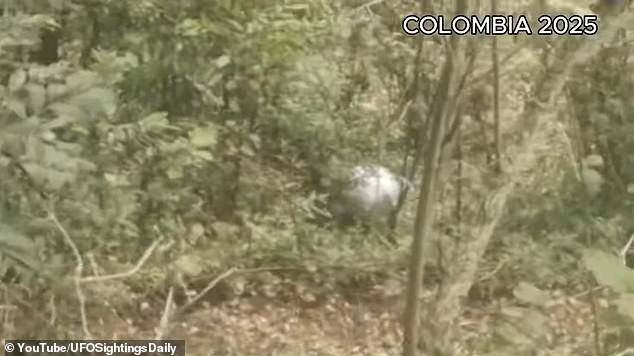 The object was recovered by a couple on March 2, who said it weighed about four and a half pounds and had 'the temperature of a refrigerator' when touched