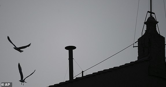 Seagulls fly past the chimney of the Sistine Chapel during the conclave to elect a new pope, at the Vatican, Wednesday, May 7, 2025. (AP Photo/Andrew Medichini)