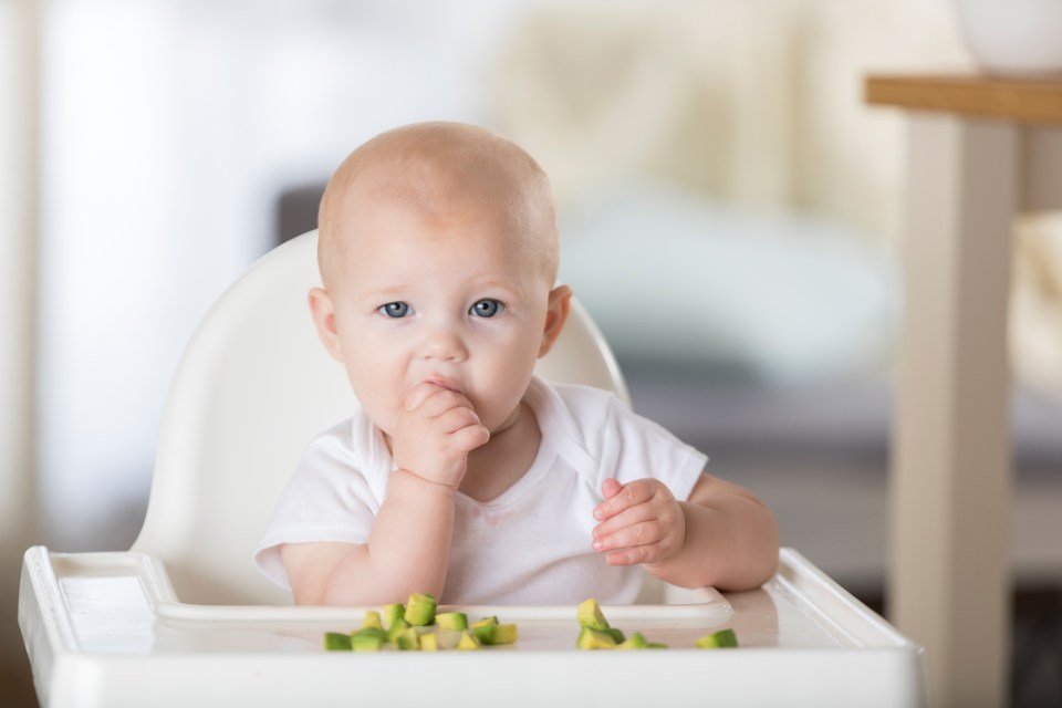 Baby girl in high chair eating avocado.