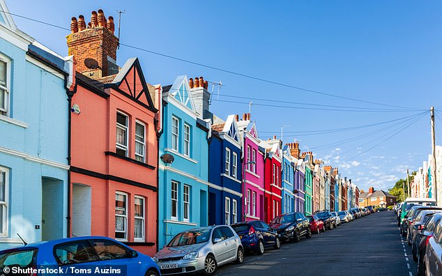 Owners of wood-burning stoves in Brighton and Hove said the clean air campaign led to 'a climate of fear and intimidation' in which they were verbally abused in the street (file pic)