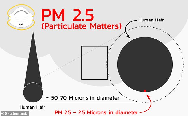The pollutants - PM2.5s - are said to be worse than all of the UK's road traffic put together
