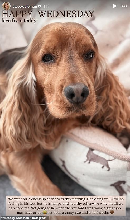 Following the vet visit, Stacey took to her Instagram Stories to give her fans an update on how her beloved pet is doing