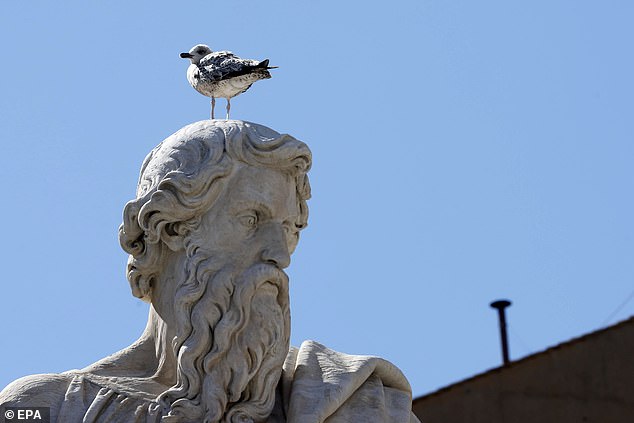 A seagull stands on one of the statues in St. Peter's Square on the second day of the conclave