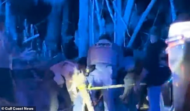 Authorities have killed at least three bears and have sent them off for DNA testing to see if they were the attackers