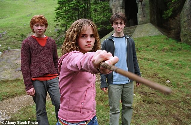 The new child stars, who will be 11-years-old and have been picked from more than 32,000 audition tapes from across the UK and Ireland, will take on the lead characters Harry, Hermione Granger and Ron Weasley in the TV reboot; pictured 2004