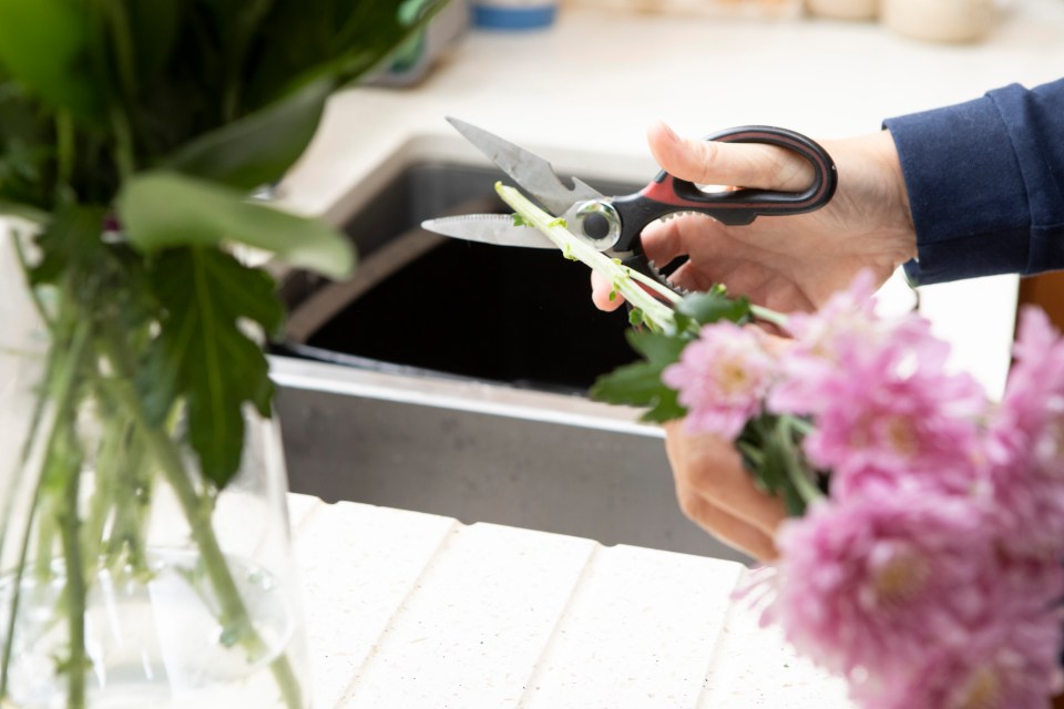 Person preparing a bunch of pink carnations.