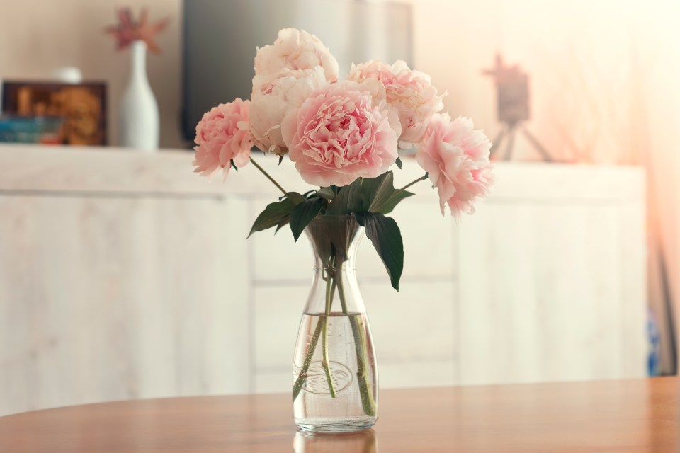 Pink peonies in a glass vase on a wooden table.
