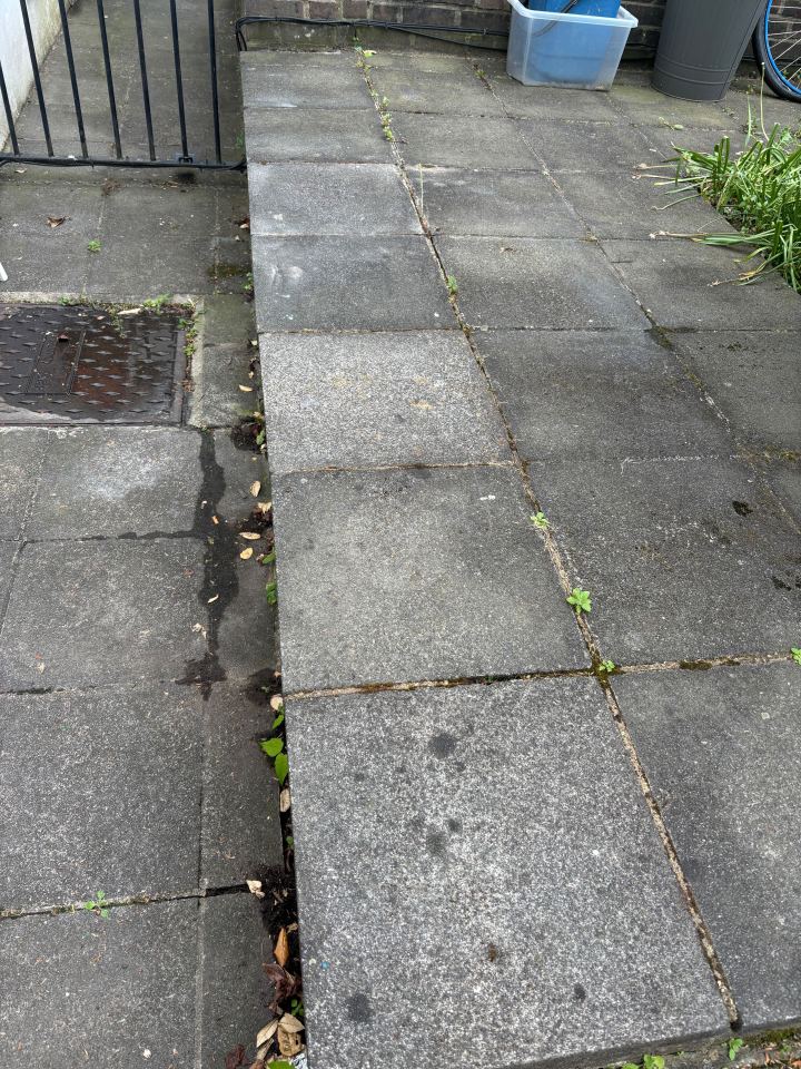 Dirty patio stones with weeds growing in the cracks.
