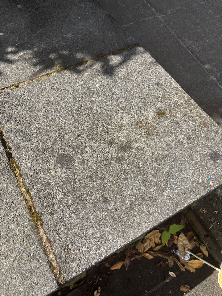 Clean paving stone after cleaning attempts.