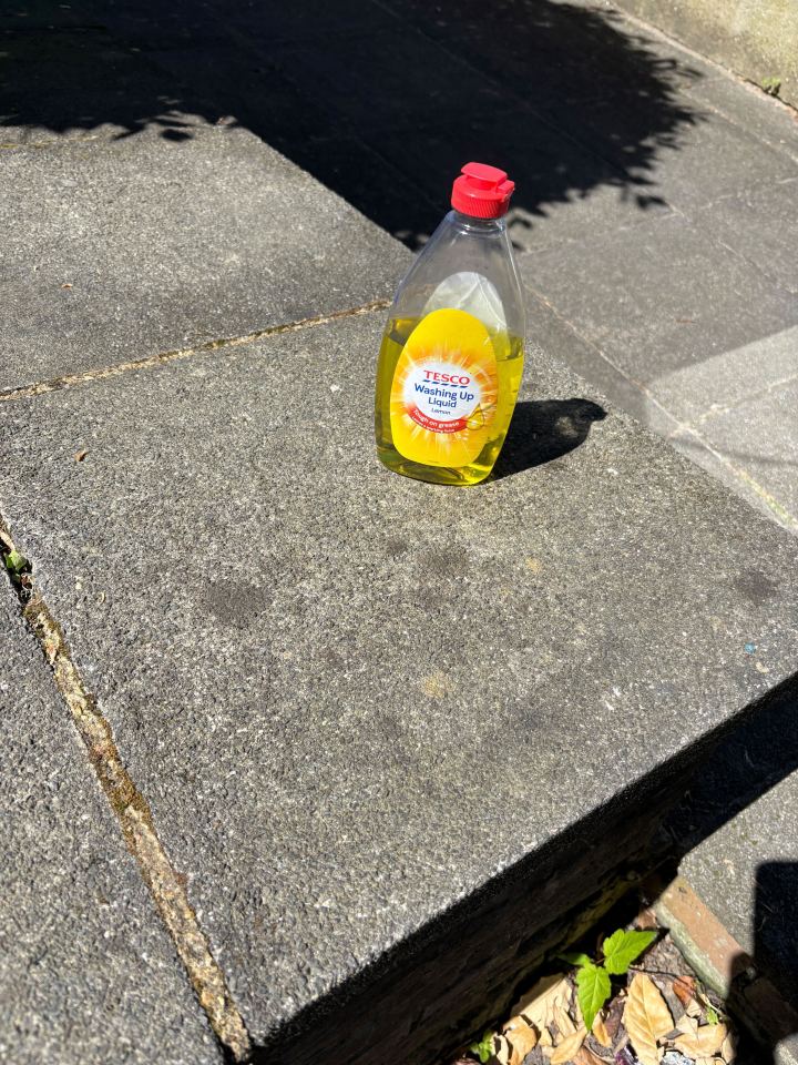 Bottle of Tesco lemon washing up liquid on patio paving.