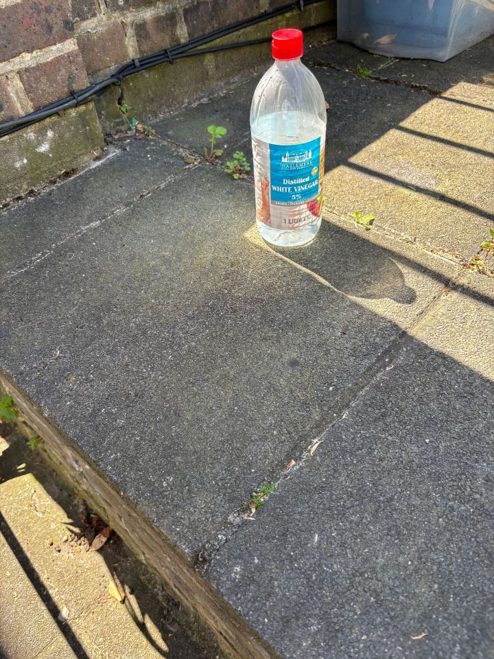 Bottle of distilled white vinegar on pavement.