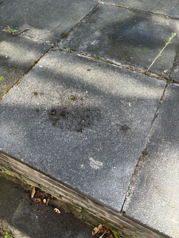 Dirty paving stones with weeds growing in the cracks.
