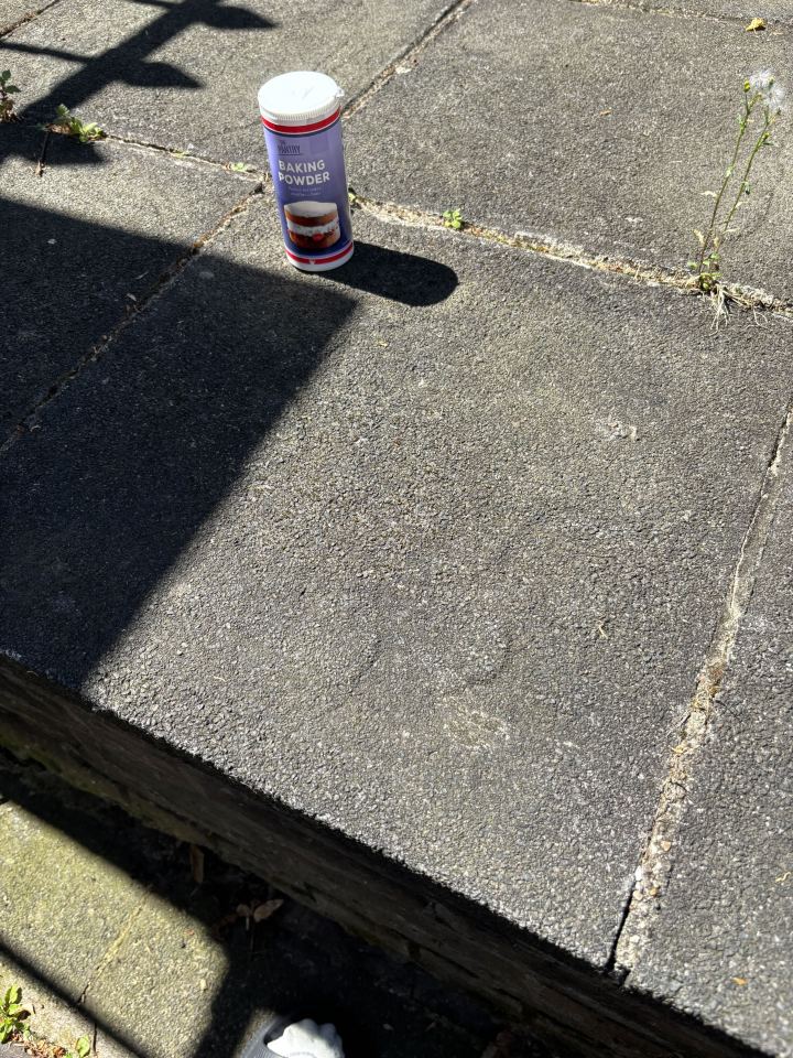Baking powder on paving stones.