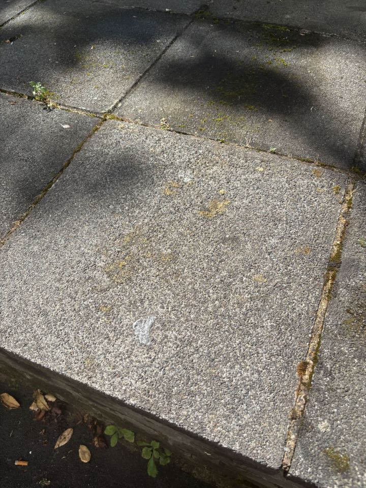 A stained paving stone.