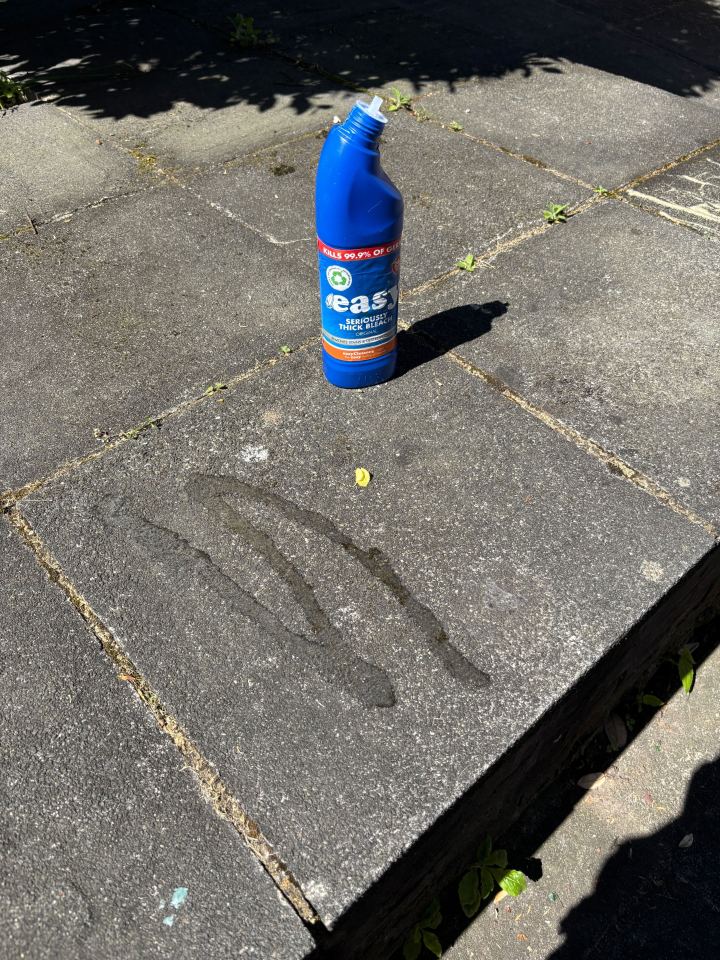 Bottle of bleach on stained paving stones.
