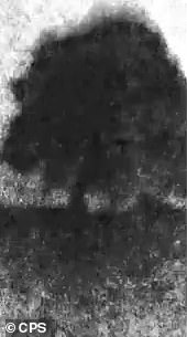Footage showing the Sycamore Gap being felled